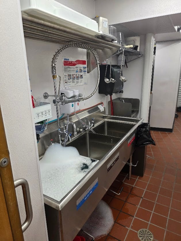 Cosetta 20250825_113104